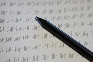 Application of Number - Interpret results and present findings